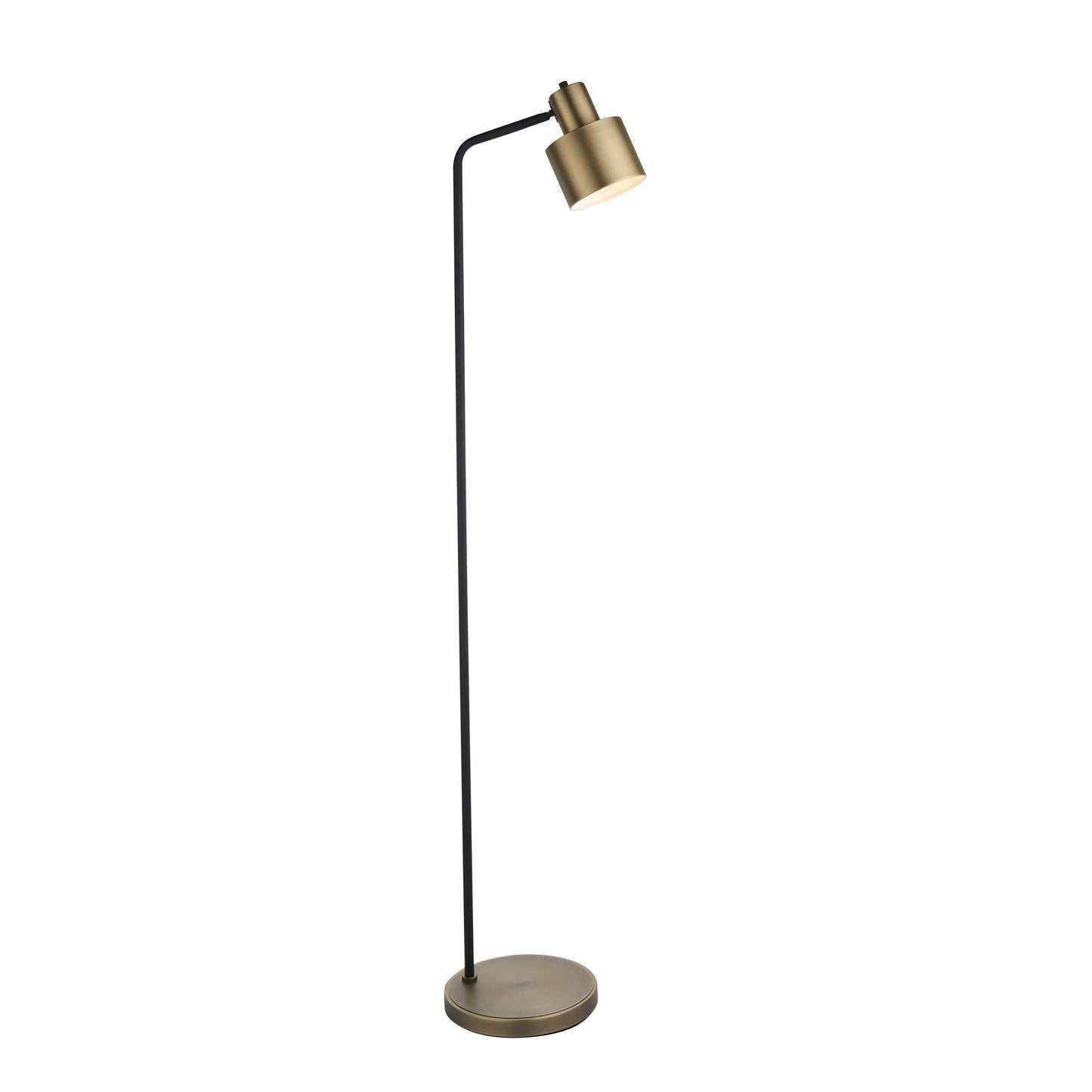 Industrial Modern Black & Bronze Floor Lamp with Adjustable Head