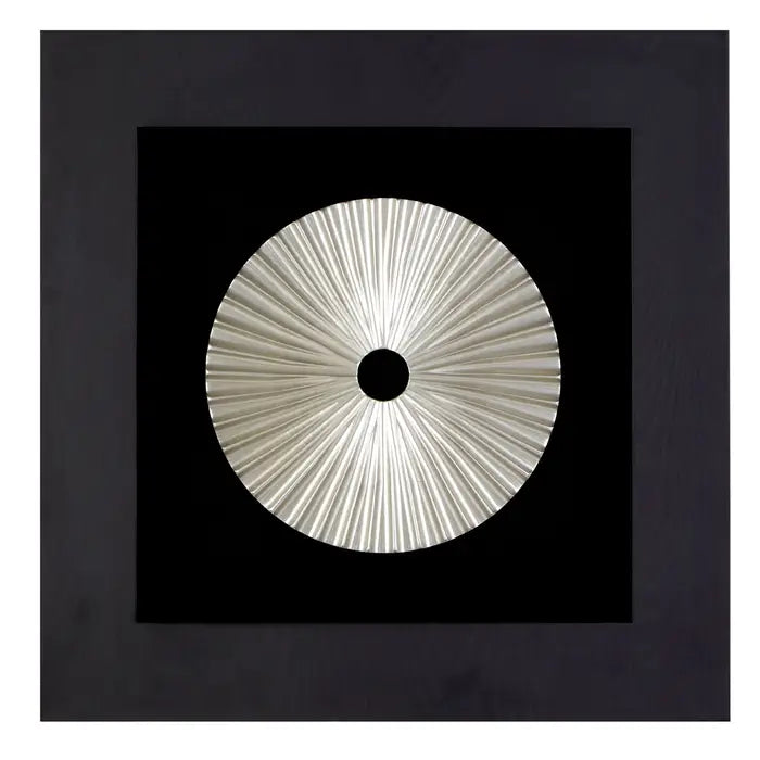 Framed Silver Fan Carving Wall Art