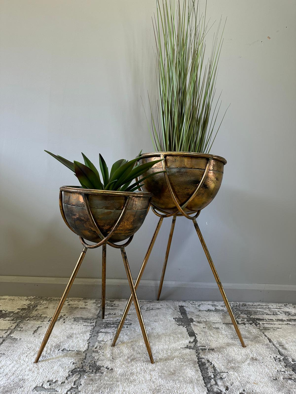 Two brass planters with plants on a textured rug against a plain wall.